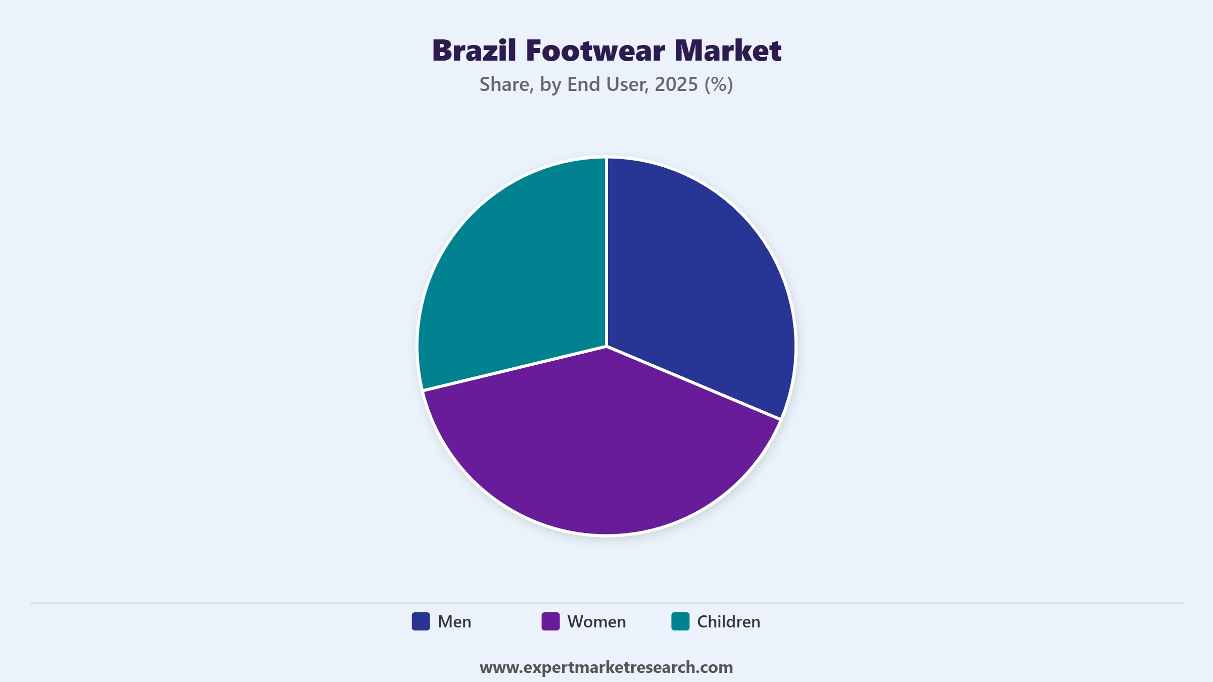 Brazil Footwear Market Segment End User
