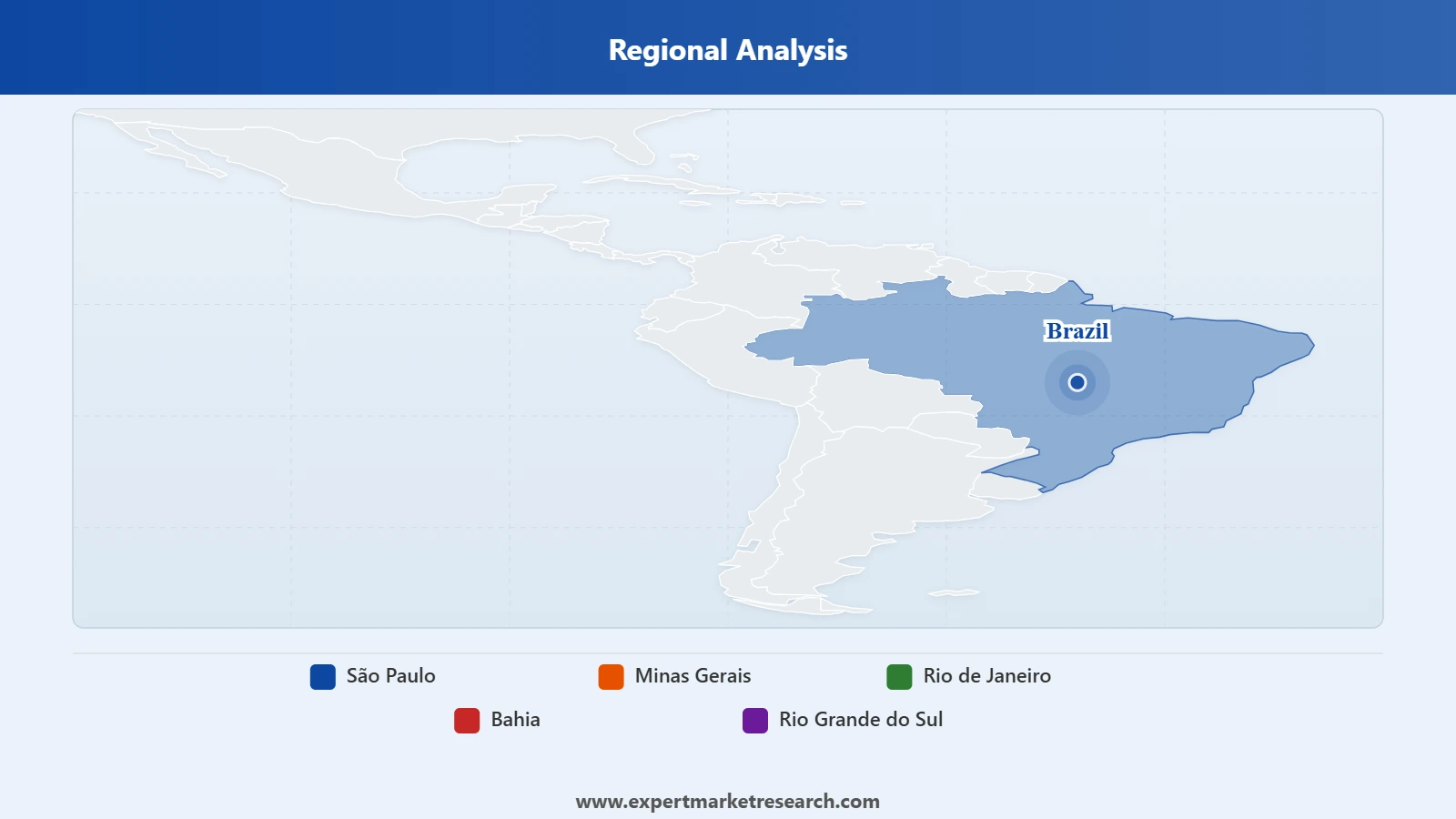 Brazil Malic Acid Market Regional Analysis