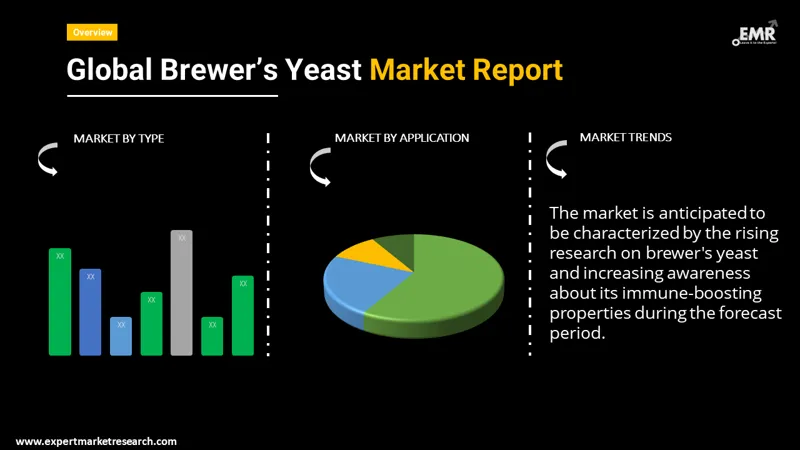 Brewers Yeast Market By Segments
