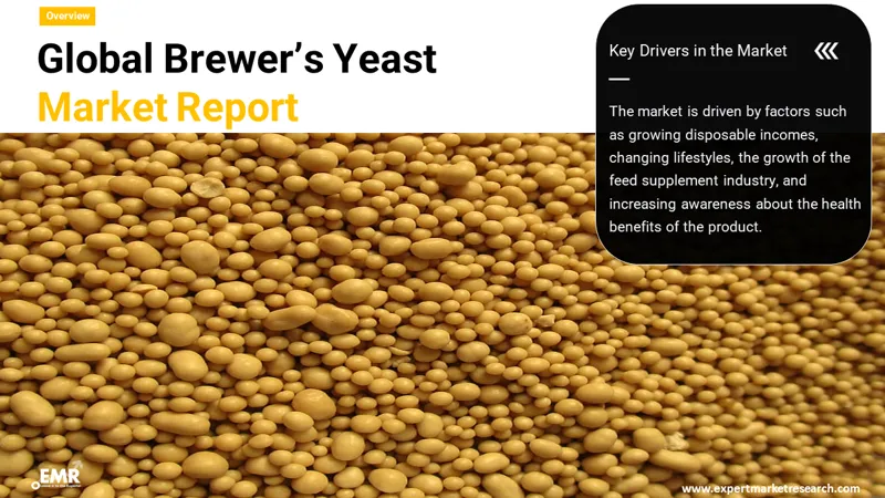 Brewer's Yeast Market