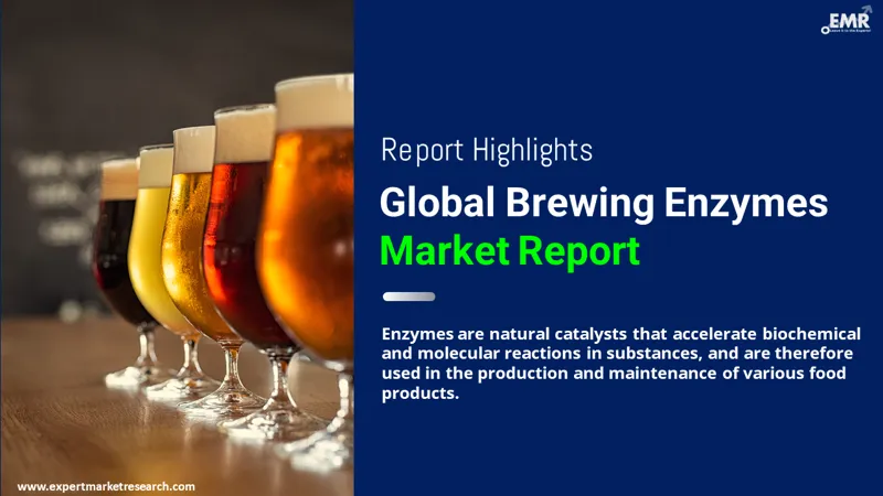 Brewing Enzymes Market
