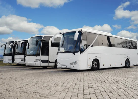 Bus Procurement Trends