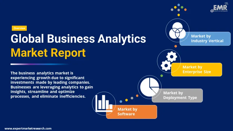 business analytics market by segments