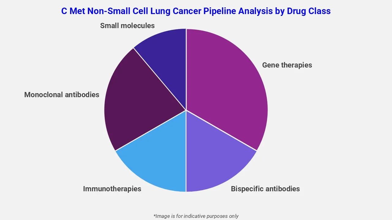 C Met Non Small Cell Lung Cancer Pipeline Analysis By Drug Class