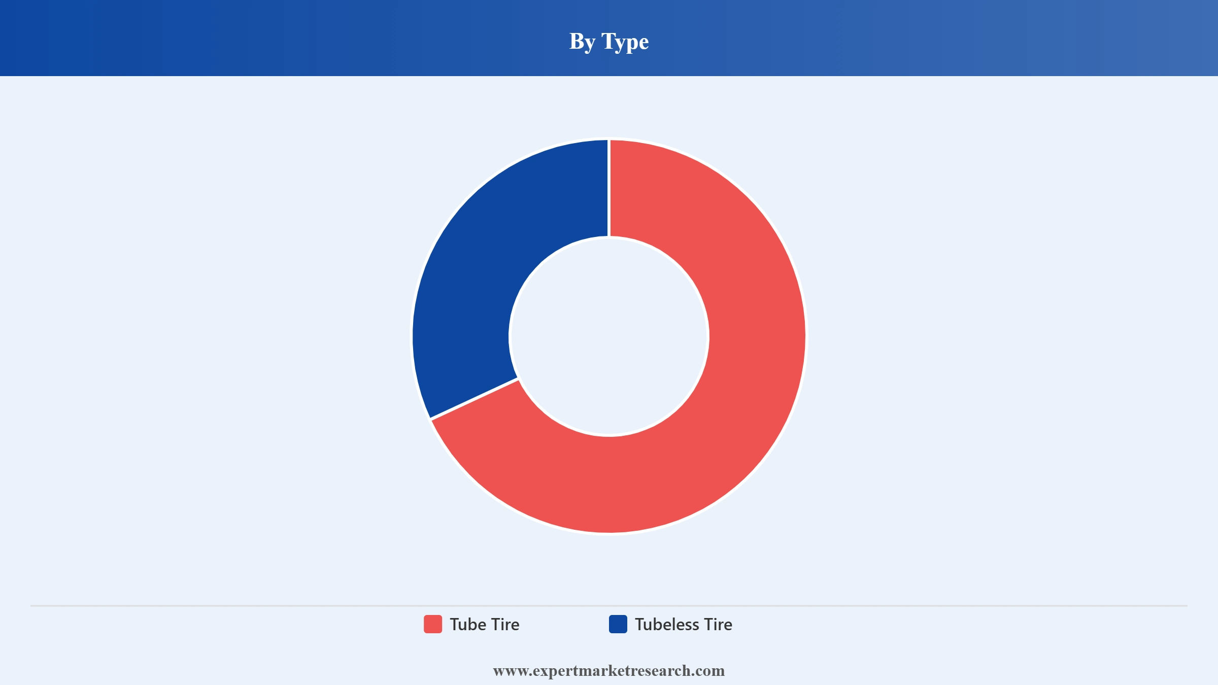 Canada Tire Market Segment Type
