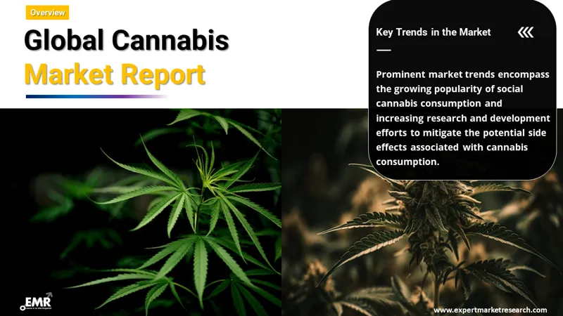 Global Cannabis Market