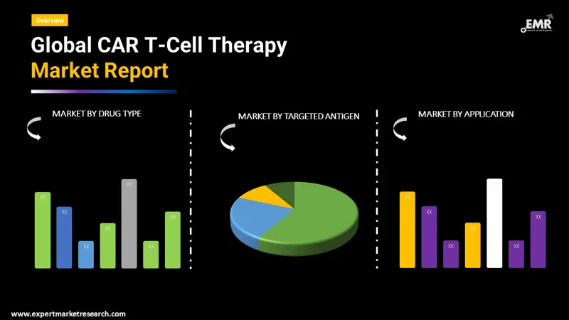 car t-cell therapy market by segments