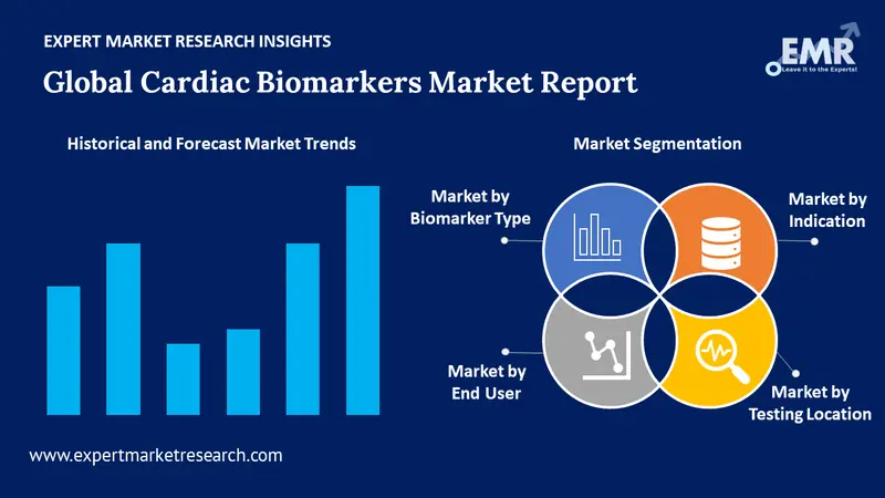 cardiac biomarkers market by segments