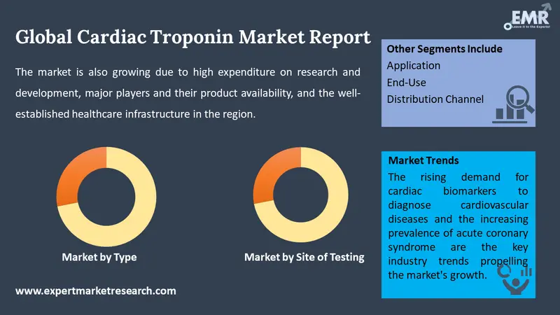 cardiac troponin market by segments