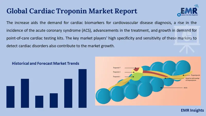 cardiac troponin market
