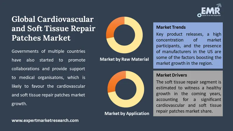 cardiovascular and soft tissue repair patches market by segments