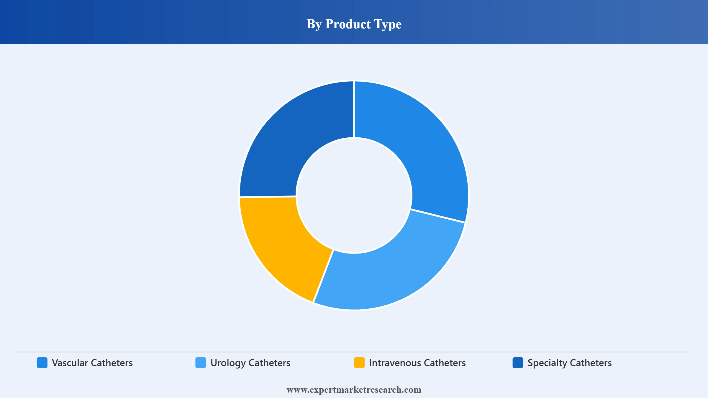 Catheter Market Segment Product Type