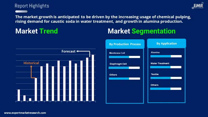 Caustic Soda Market by Segments