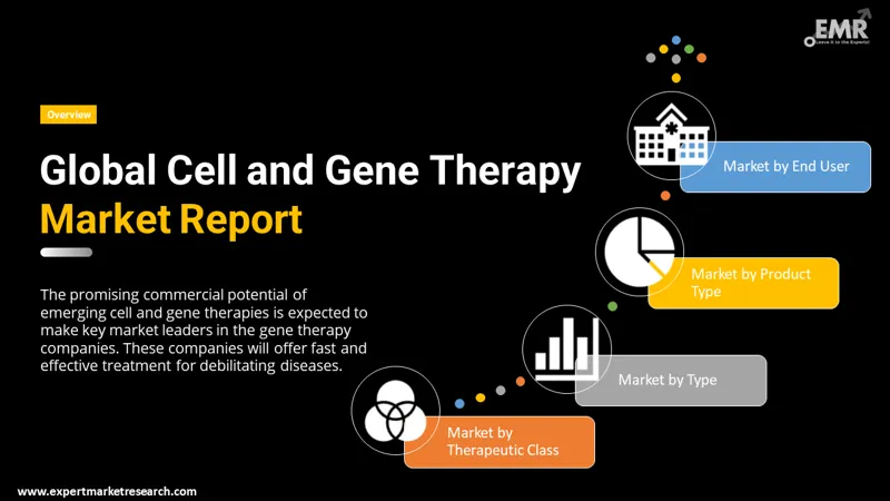 cell and gene therapy cgt market by segments