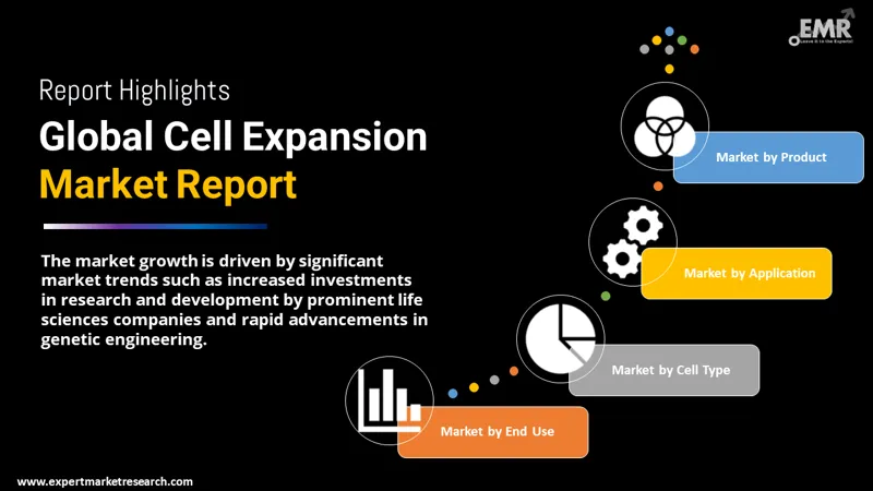 Global Cell Expansion Market