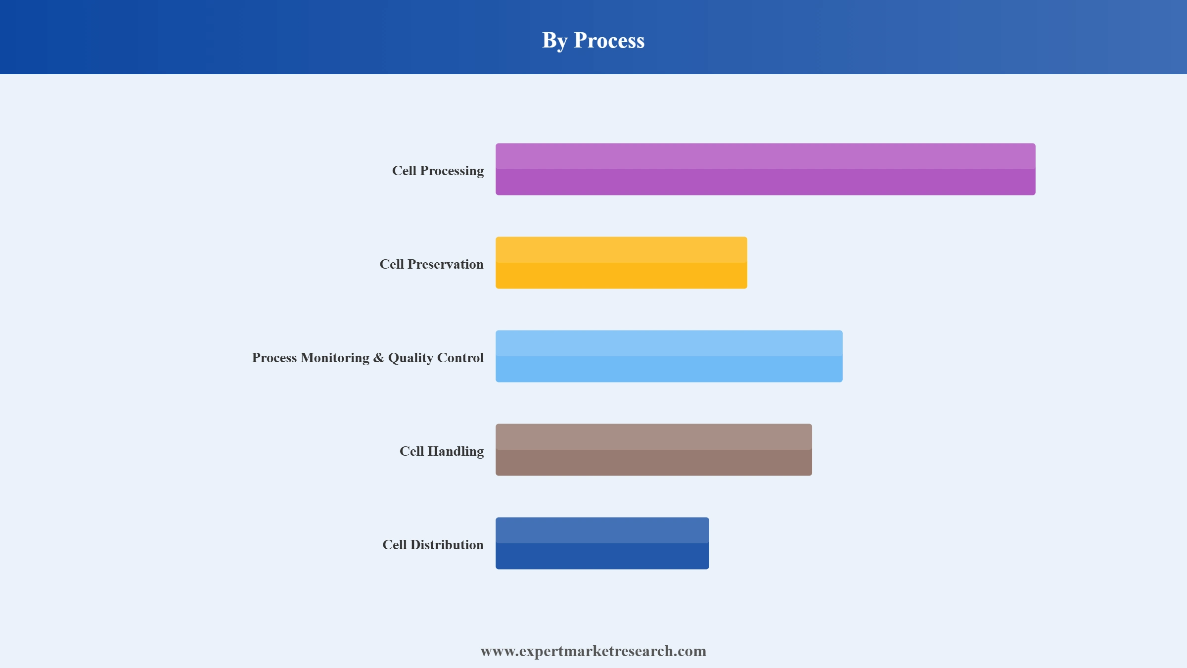 Cell Therapy Market Segment Process