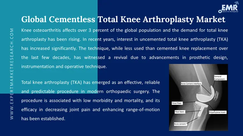 cementless total knee arthroplasty market