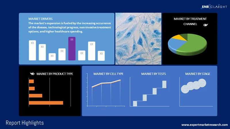 cervical cancer treatment market