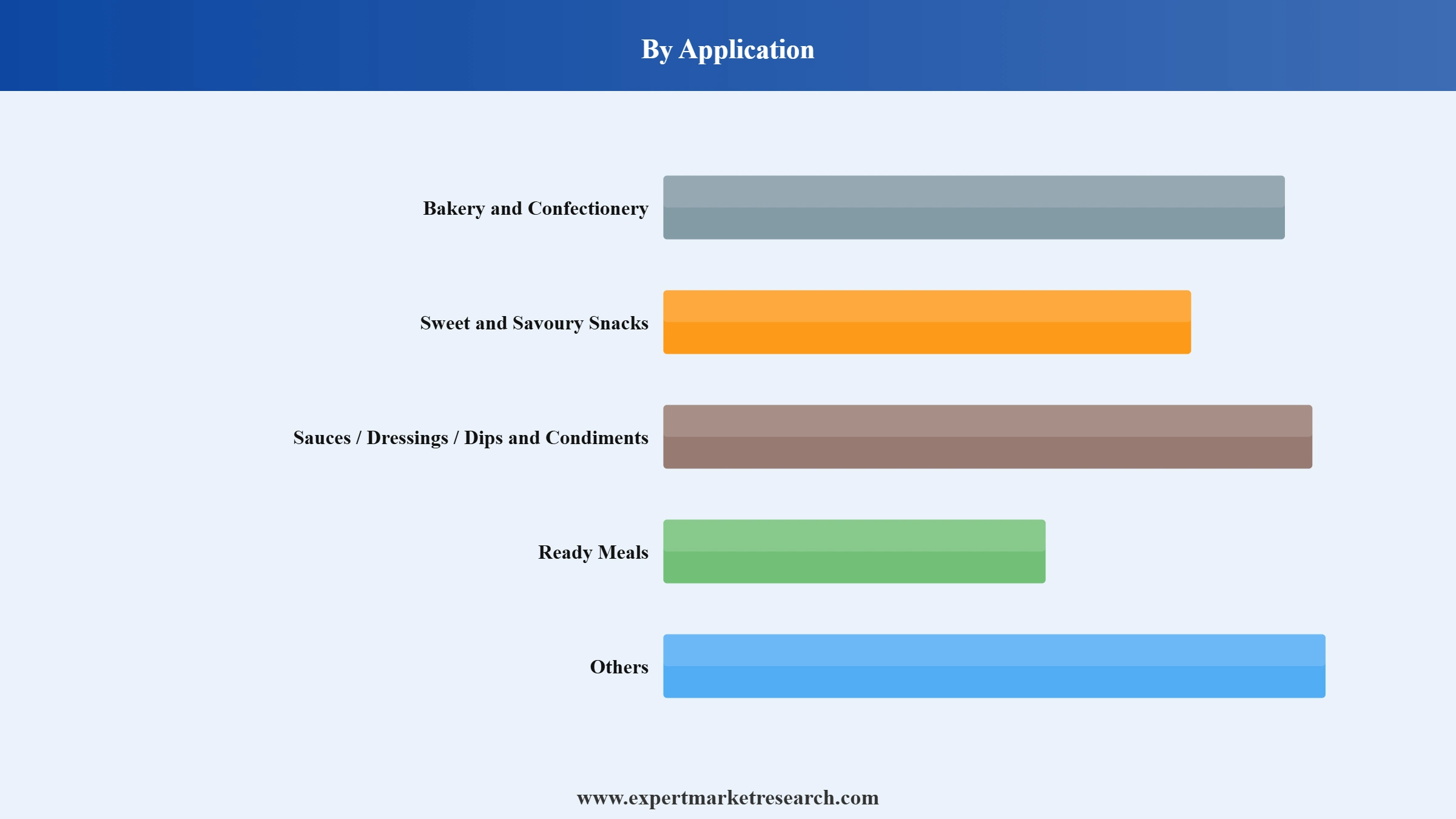 Cheese Powder Market Segment Application