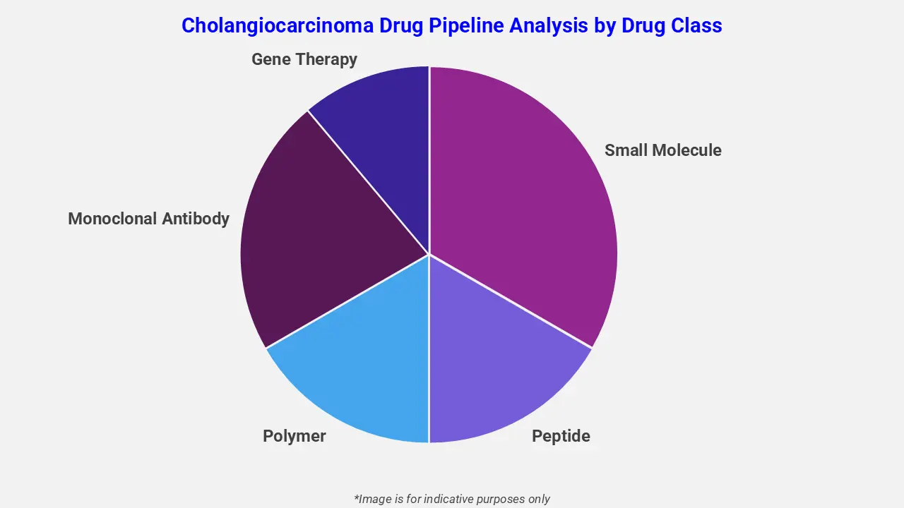 Cholangiocarcinoma Drug Pipeline Analysis by Drug Class