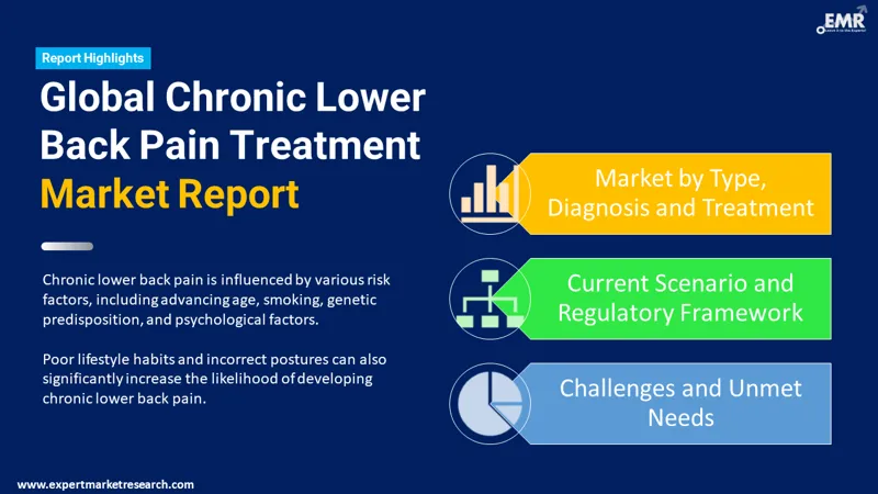 chronic-lower-back-pain-treatment-market-by-segments