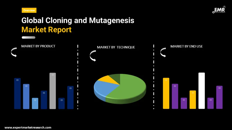 cloning and mutagenesis market by segments