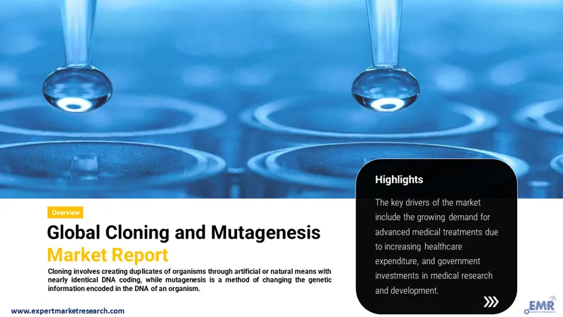 cloning and mutagenesis market