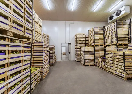 Cold Storage Vietnam