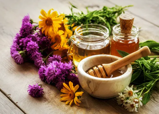 Colombia Honey Benefits And Wellness