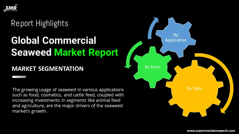 commercial-seaweed-market-by-segmentation