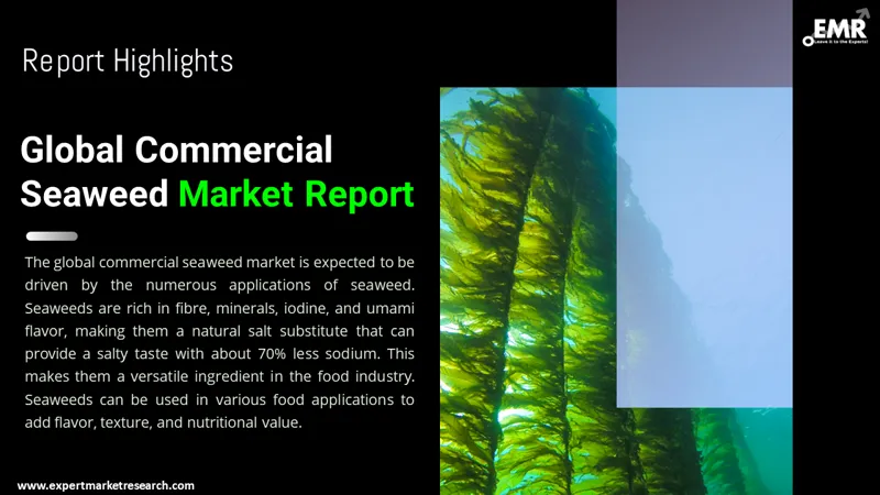 commercial-seaweed-market