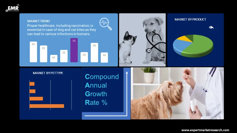 companion-animal-healthcare-market-by-segments