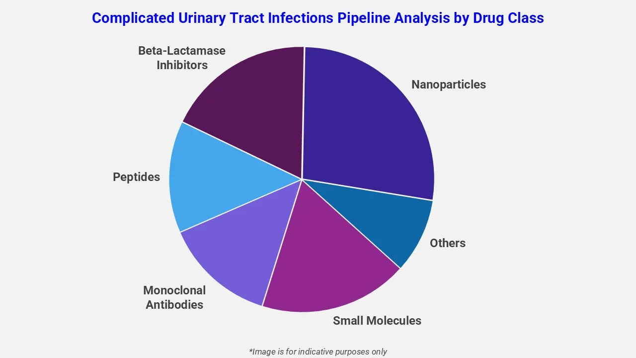 Complicated Urinary Tract Infections Pipeline Analysis By Drug Class