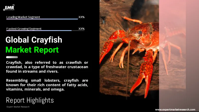 Global Crayfish Market
