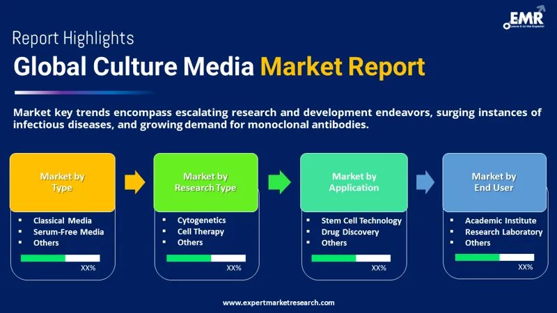 Global Culture Media Market