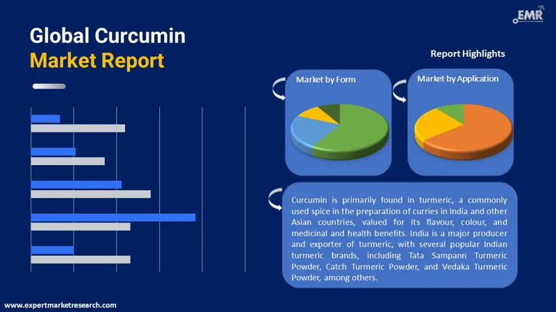 curcumin-market-by-segments