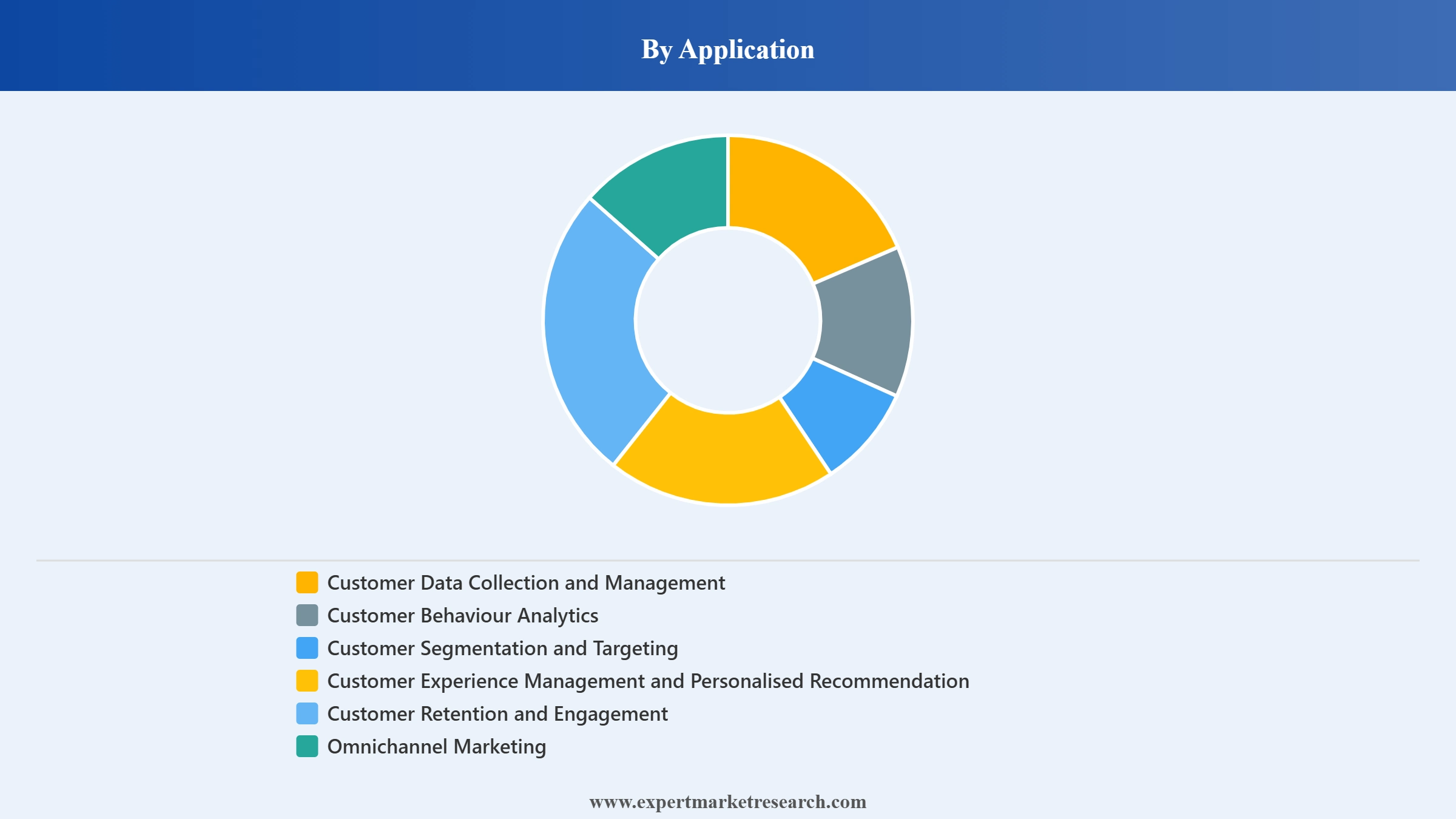 Customer Intelligence Platform Market Segment Application