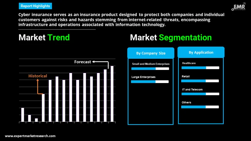 Cyber Insurance Market By Segments