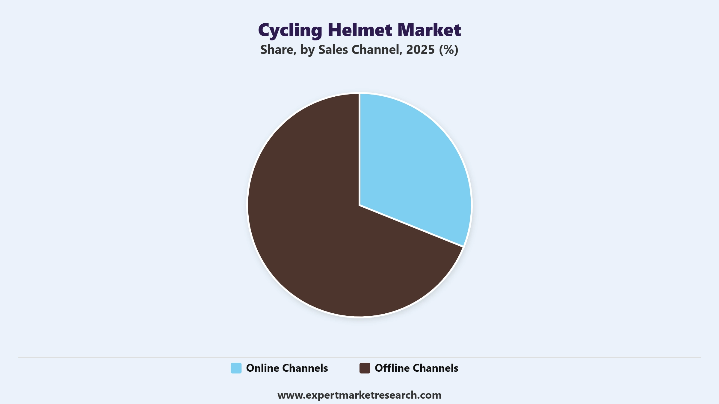 Cycling Helmet Market Segment Sales Channel