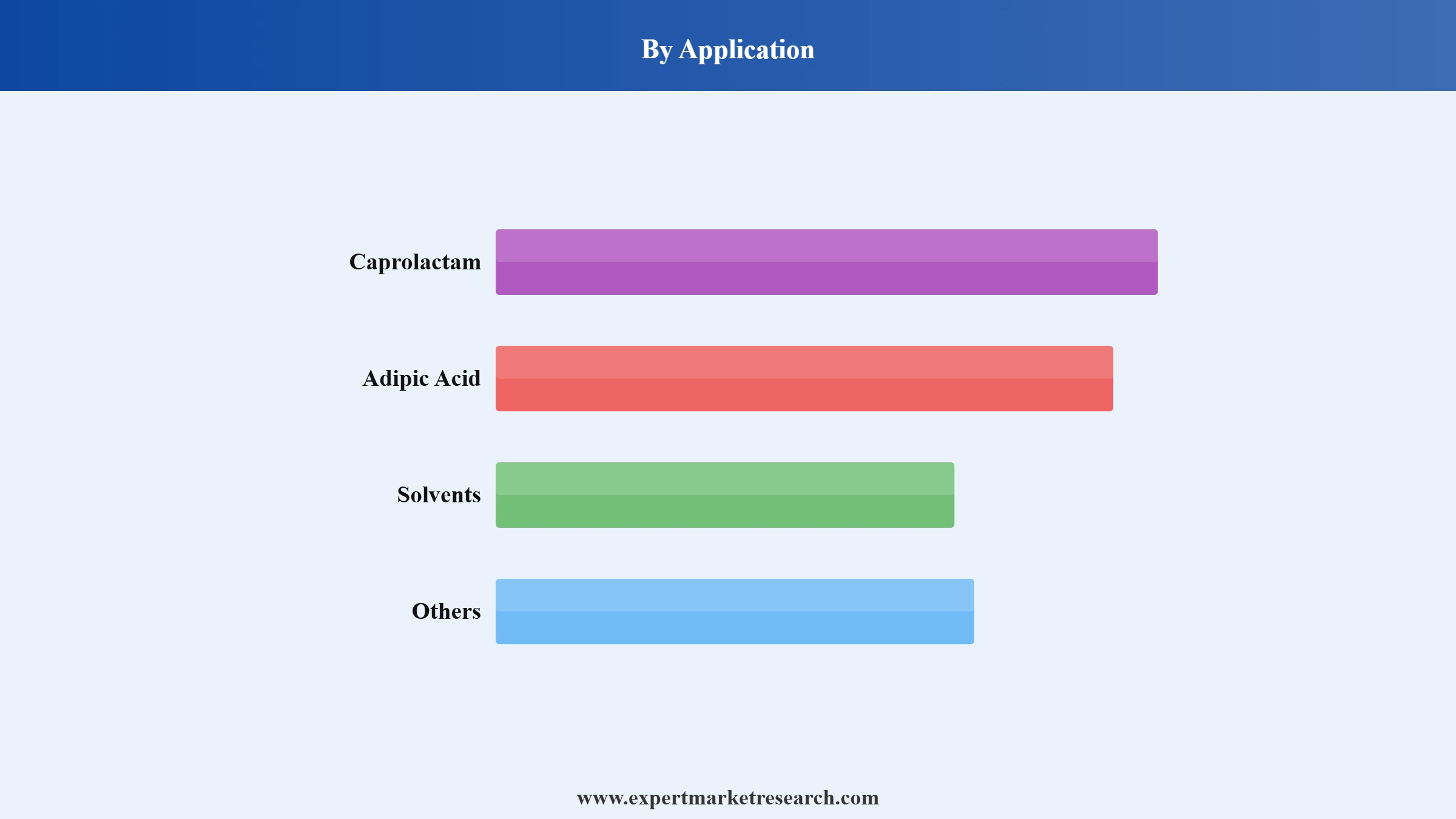 Cyclohexanone Market Segment Application