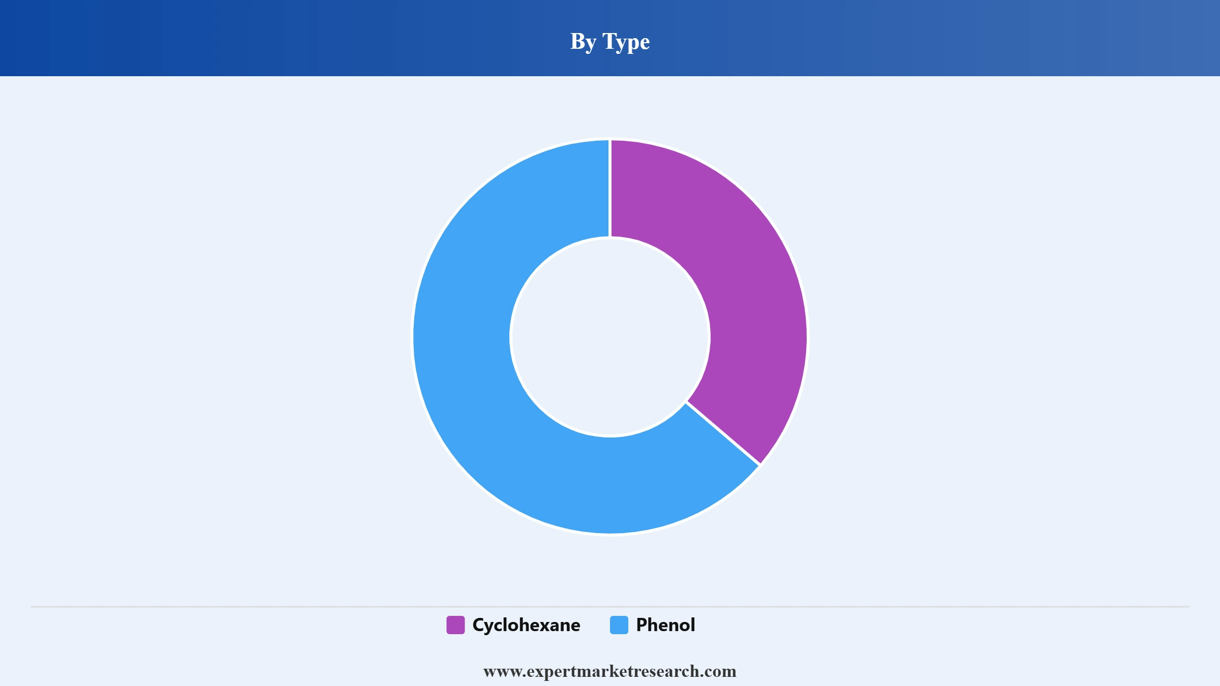 Cyclohexanone Market Segment Type