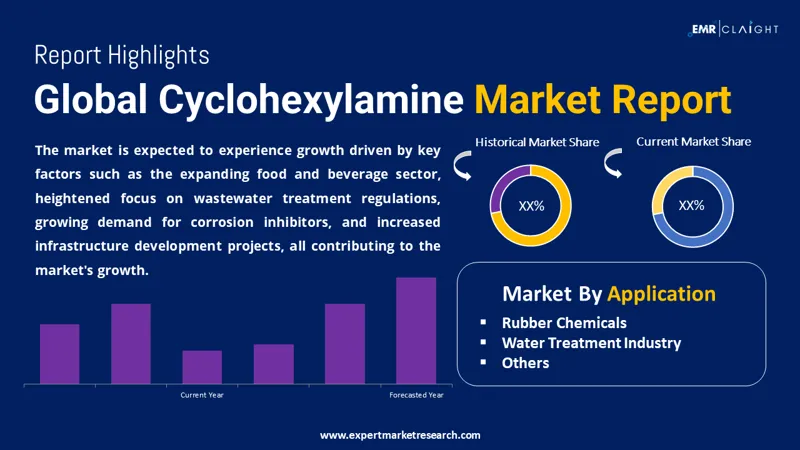 Global Cyclohexylamine Market