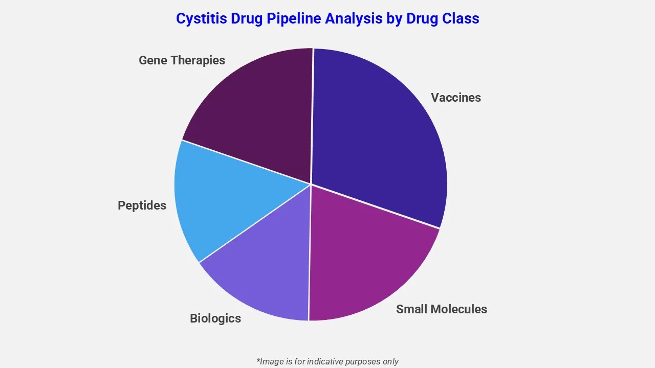Cystitis Drug Pipeline Analysis By Drug Class