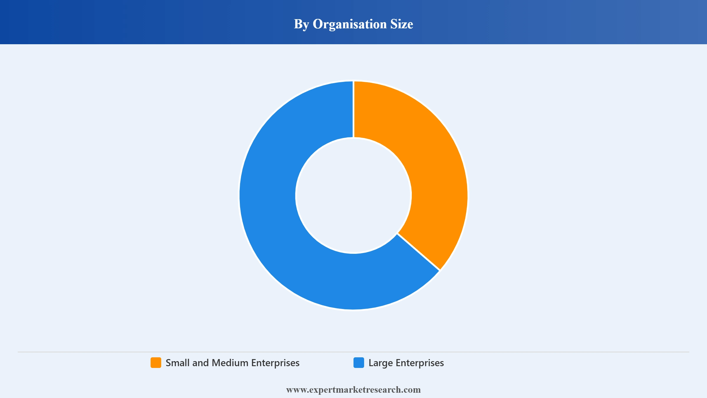 Data Analytics Market Segment Organisation Size