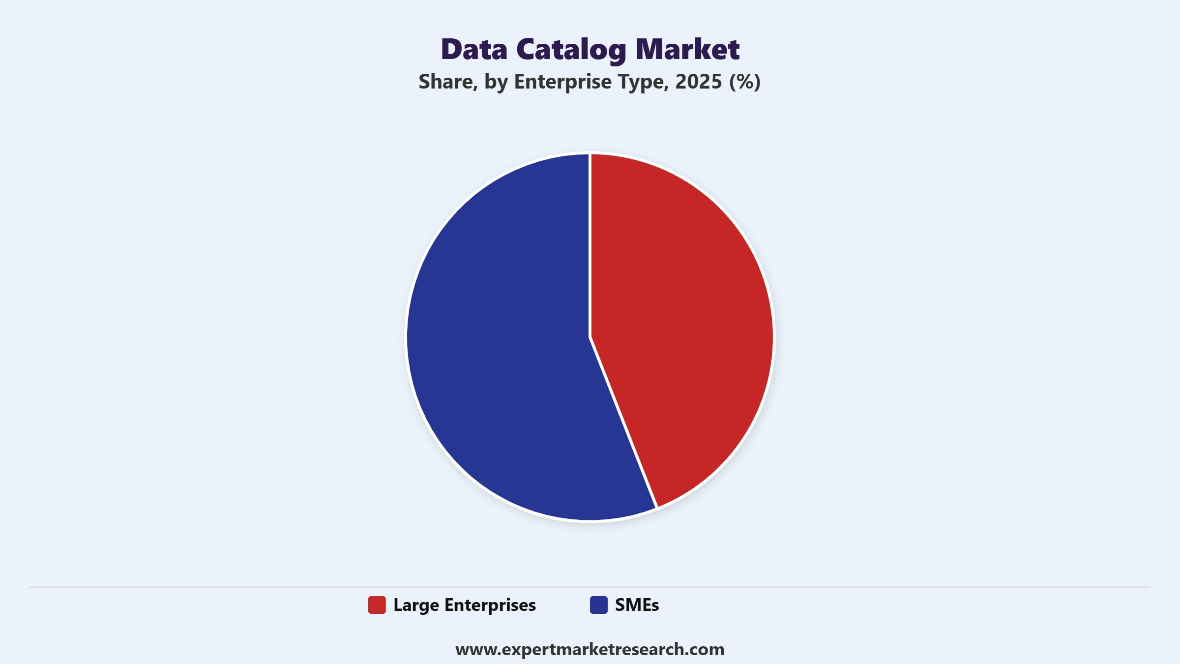 Data Catalog Market Segment Enterprise Type