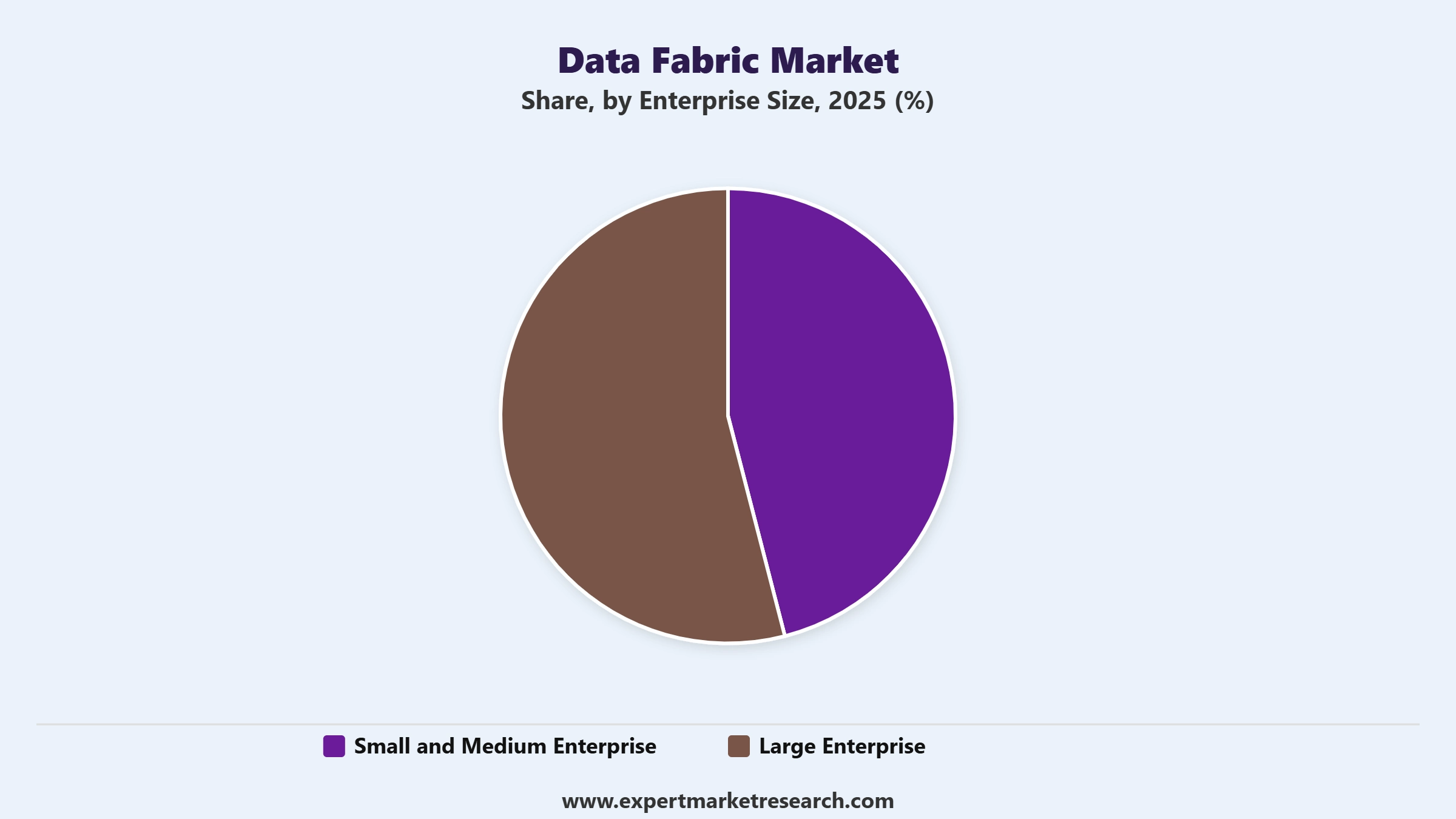 Data Fabric Market Segment Enterprise Size