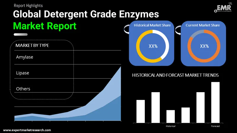 Detergent Grade Enzymes Market By Segments
