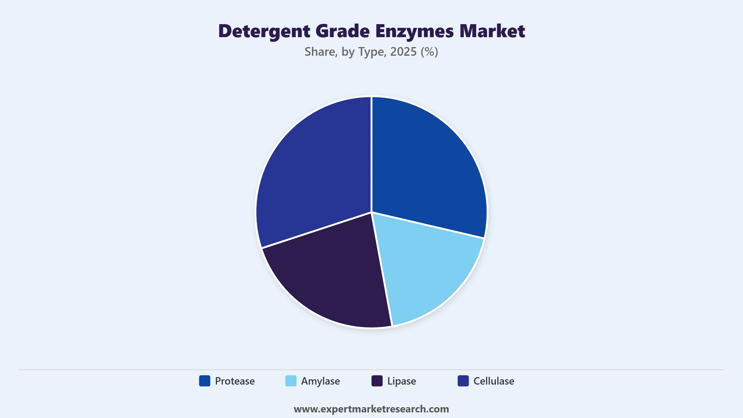 Detergent Grade Enzymes Market Segment Type