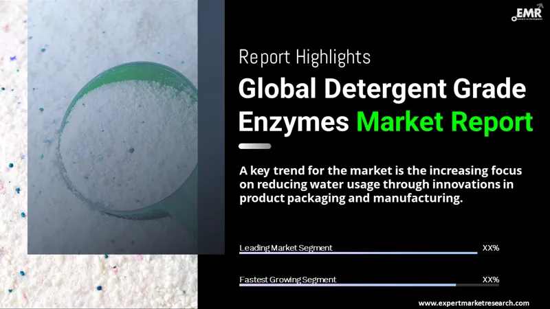 Detergent Grade Enzymes Market