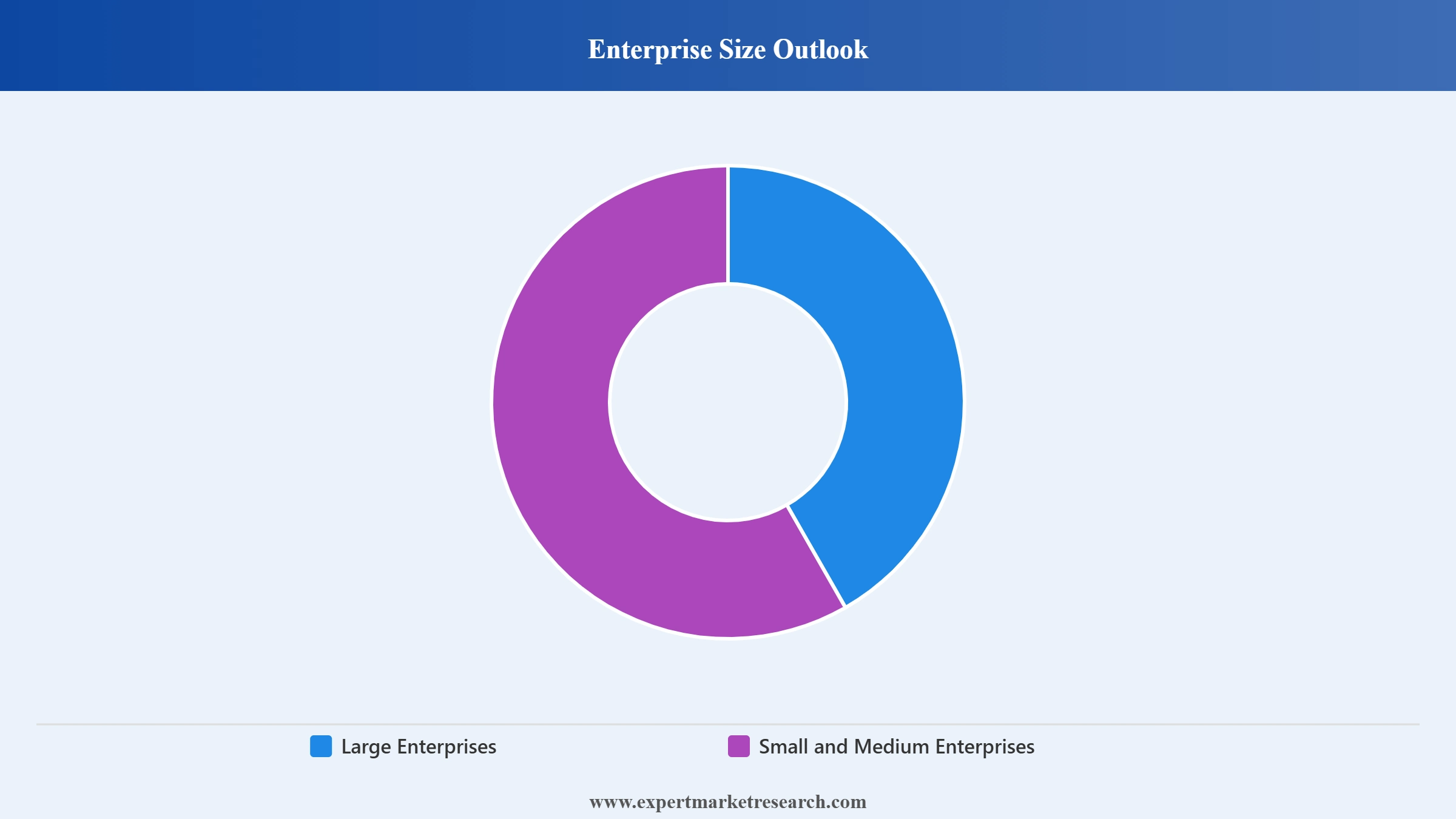Digital Payment Market Segment Enterprise Size Outlook